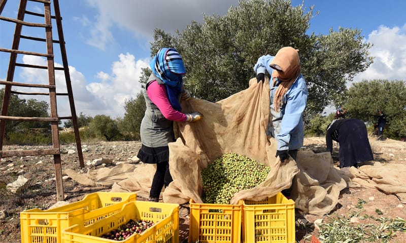 جمعية المرأة الريفية تنظم فعالية "يوم تذوق"